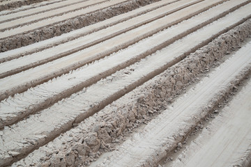 Fresh tractor traces in ground,Oblique line.