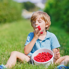 Little blond boy happy about his harvest on raspberry farm