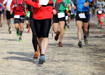 runners in the marathon in the city
