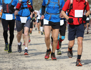 competitive race with many athletes involved in race