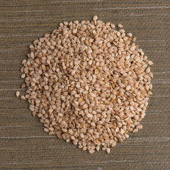 Circle of sesame seeds