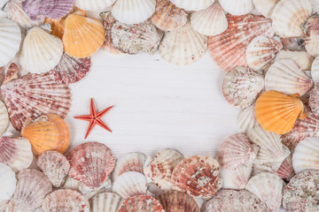 frame with seashells on wooden surface