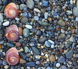 Sea stones background eco