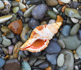 Sea stones background eco
