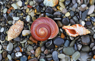 Sea stones background eco