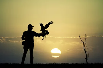 Crédence de cuisine en verre imprimé Aigle falconer man at sunset