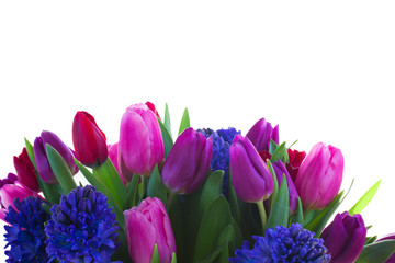 bouquet of   blue hyacinth and  tulips