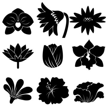 Set of black flowers
