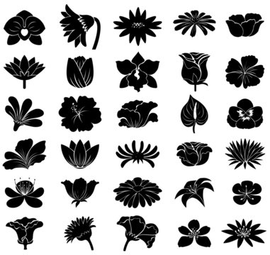 Black floral templates