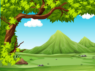 Scenery