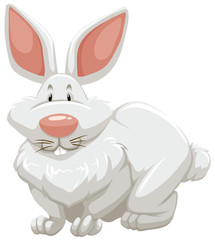 Cute rabbit