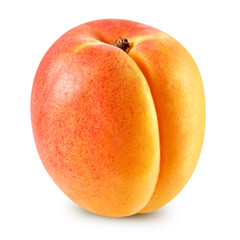 Apricot