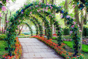 beautiful flower arches with walkway in ornamental plants garden