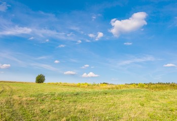 Fototapeta premium Rural landscape