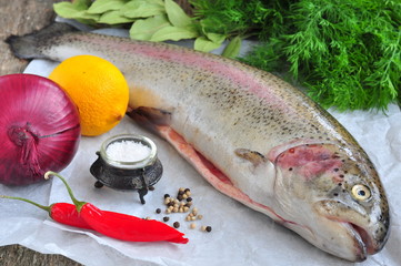 Fresh raw salmon with vegetables on a white background