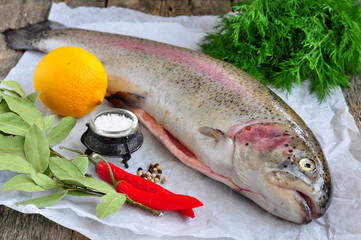 Fresh raw salmon with vegetables on a white background
