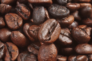coffee beans closeup