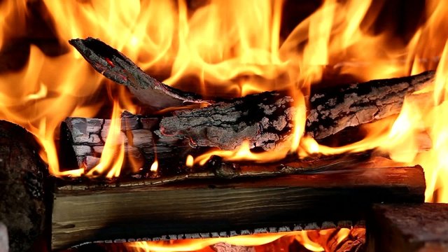 Wood in fire. natural background