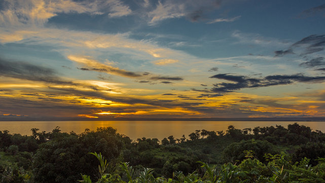 Ikalalao Jungle