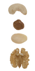 verschiedene Nusssorten - Cashew (eigentlich keine Nuss), Haseln