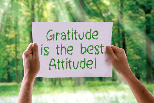 Gratitude Is The Best Attitude Card With Nature Background