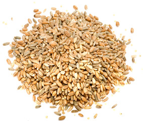 Getreide 6-Korn-Mischung