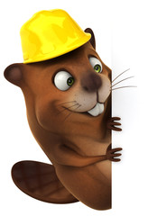 Fun beaver © Julien Tromeur