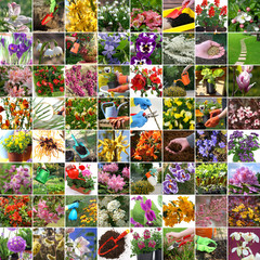 Spring in the garden - colorful collage