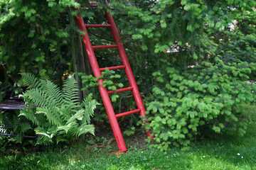 Rote Leiter in einem Garten