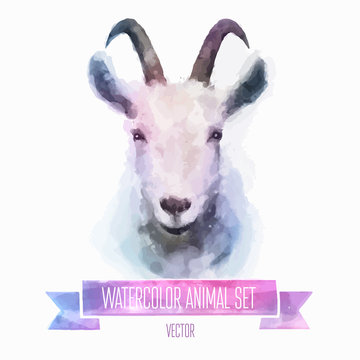 Vector Set Of Watercolor Illustrations. Cute Goat