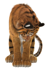 Obraz premium Tiger