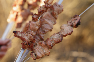 prepared pork shashlik ready for eating