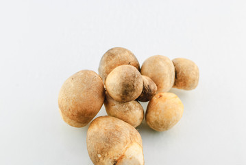 straw mushroom