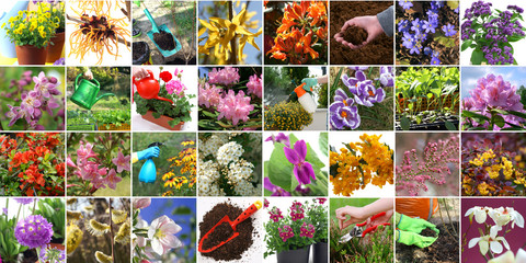 Spring in the garden - colorful collage - obrazy, fototapety, plakaty