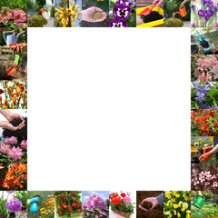 Spring in the garden - colored frame - obrazy, fototapety, plakaty