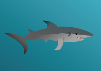 Shark