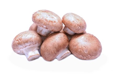 Champignon on white background