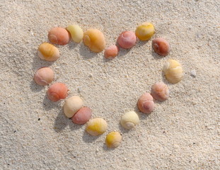 cœur en coquillages dans sable