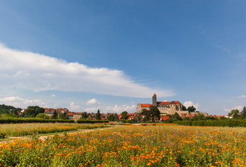 Naklejka premium Blick zum Quedlinburger Schloss und Stiftskirche