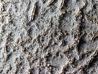 abstract background of old wall