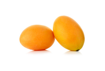 Marian Plum isolated on white background