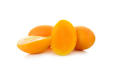 Marian Plum isolated on white background