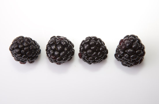 Four fresh ripe blackberries in line