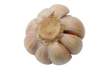 garlic farm products organic isolated white background