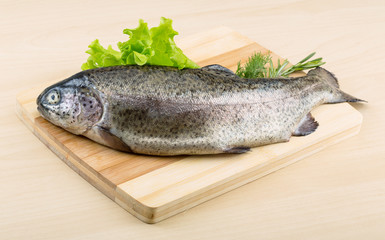 Raw fresh trout