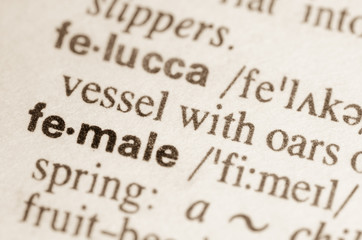 Dictionary definition of word female