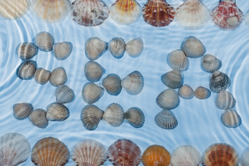 Word sea made of seashells under water
