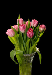Red-white tulips on black background