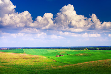 Green grass under blue sky