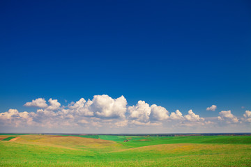 Beatiful morning green field with blue heaven